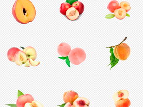 新鲜桃子图库 从黄桃到油桃，一站式获取商业级水果视觉素材