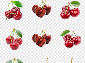 【一触即达】新鲜超市水果樱桃车厘子海报PNG素材，19.09MB生活工作必备大全