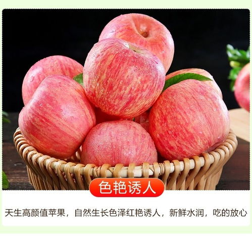 舌尖上的栖霞馈赠 探寻正宗红富士苹果的“冰糖心”奥秘